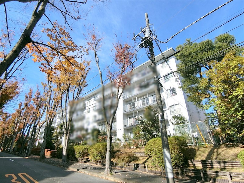 宮前平グリーンハイツ36号棟 現地写真