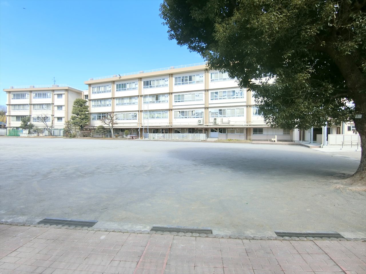 川崎市宮前区西野川3丁目戸建 小学校