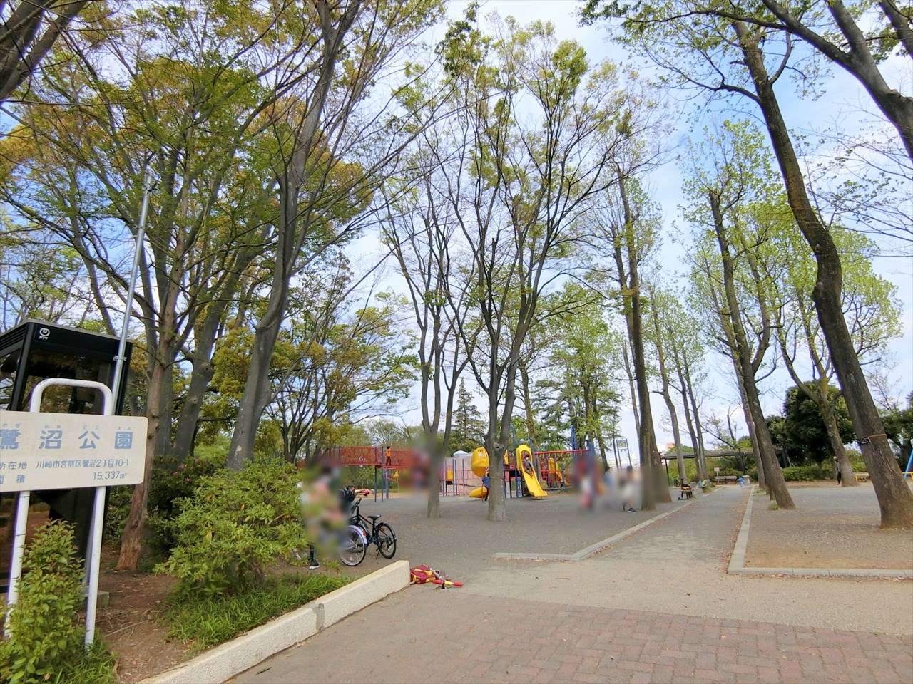 ウィンザーハイム鷺沼 公園