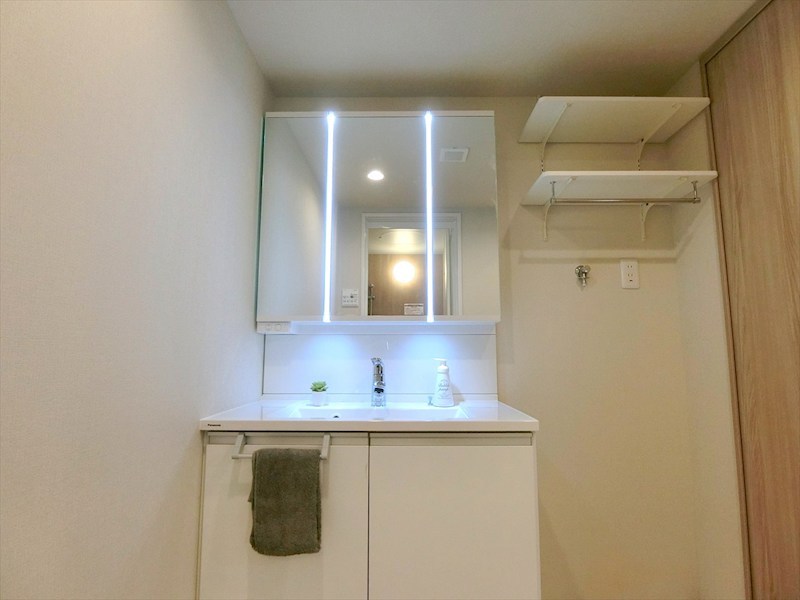 メゾンドール多摩川 内観写真（洗面台・洗面所）