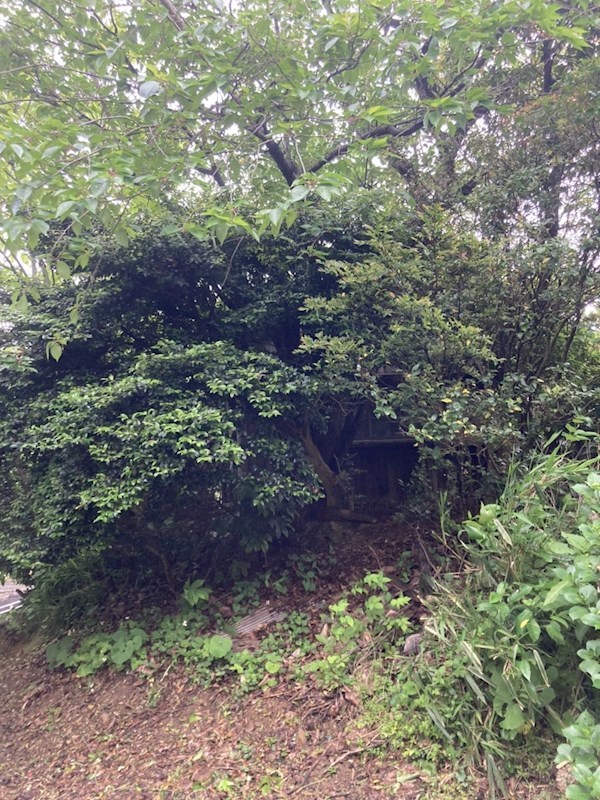 末広町土地 現地写真