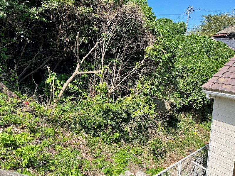 上原町土地 現地写真