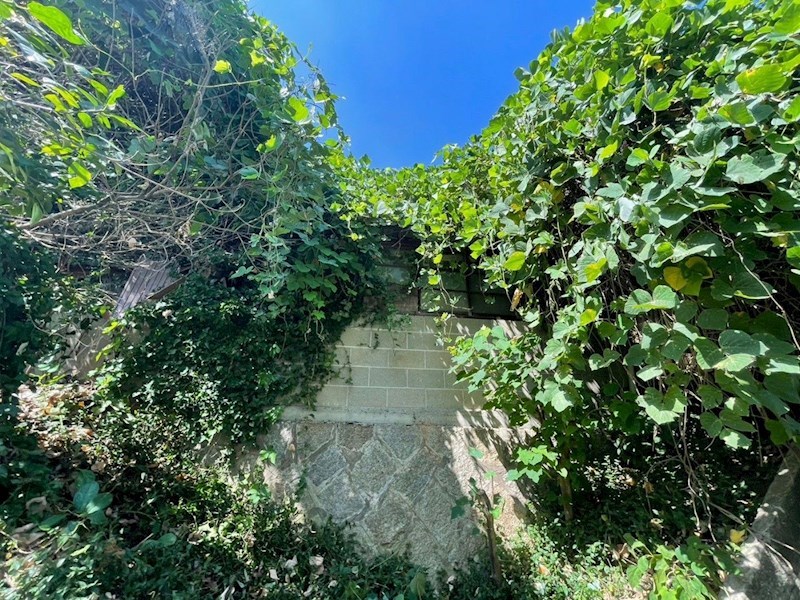 上原町土地 現地写真