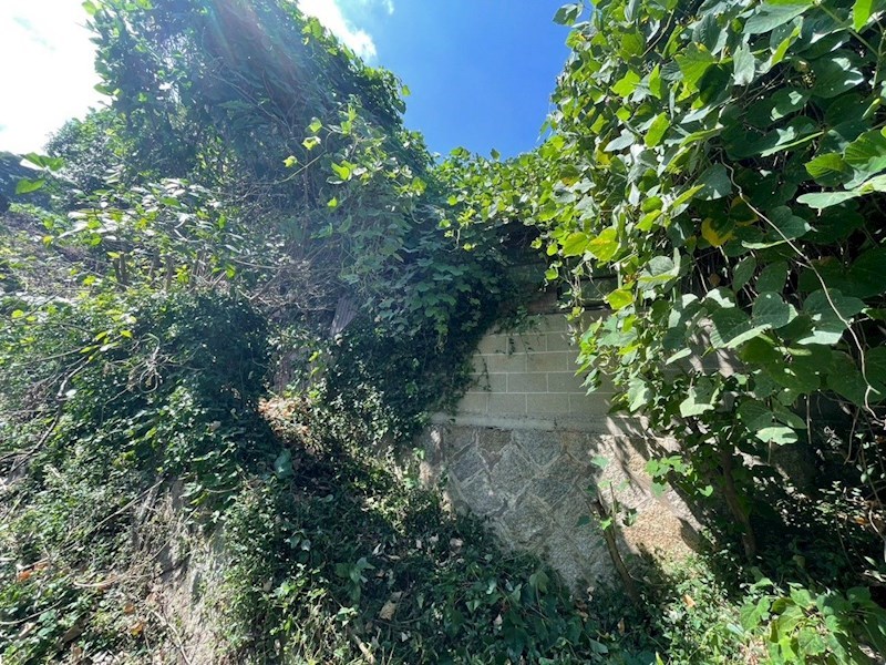 上原町土地 現地写真