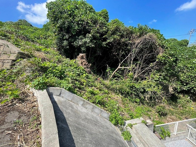 上原町土地 現地写真