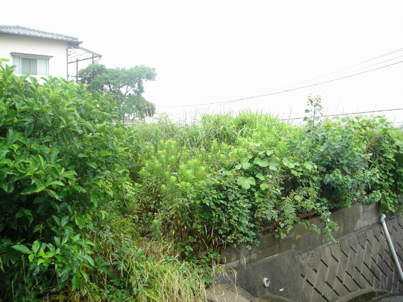 湯川二丁目土地 現地写真