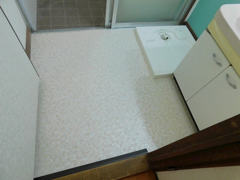 大字上新入戸建 内観写真（洗面台・洗面所）