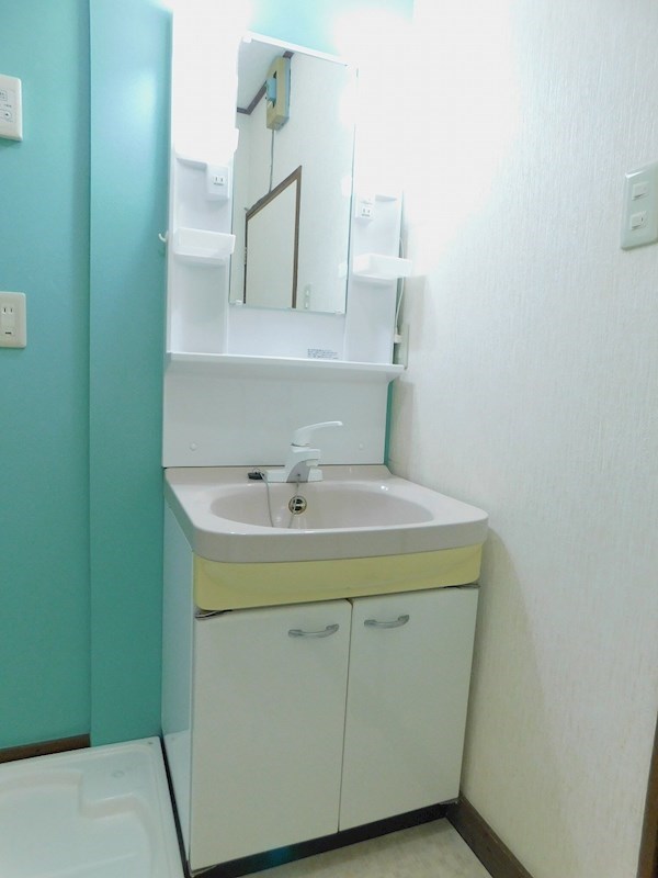 大字上新入戸建 内観写真（洗面台・洗面所）