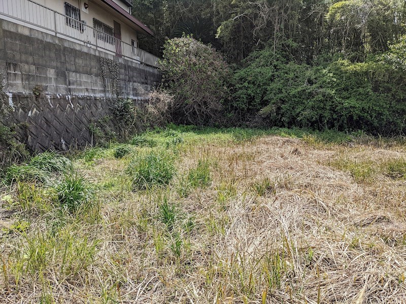 畑谷町土地 現地写真