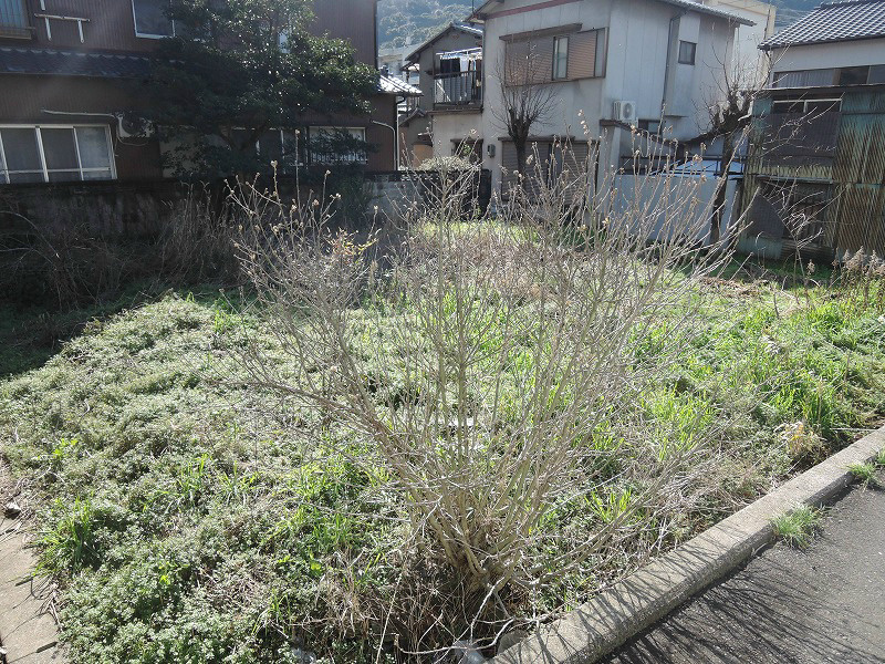 清納一丁目土地 現地写真