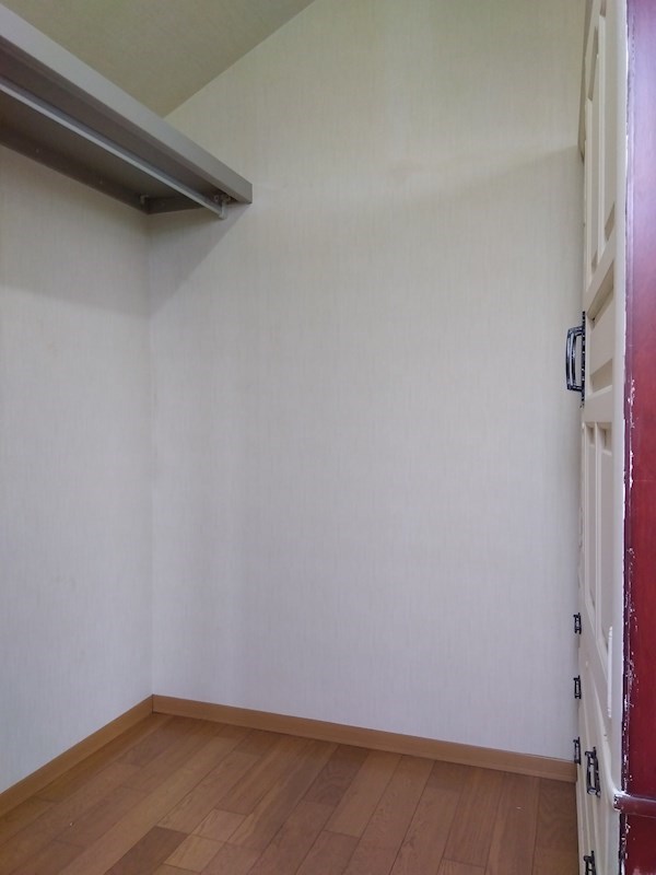 泉中央八丁目戸建 内観写真（収納）