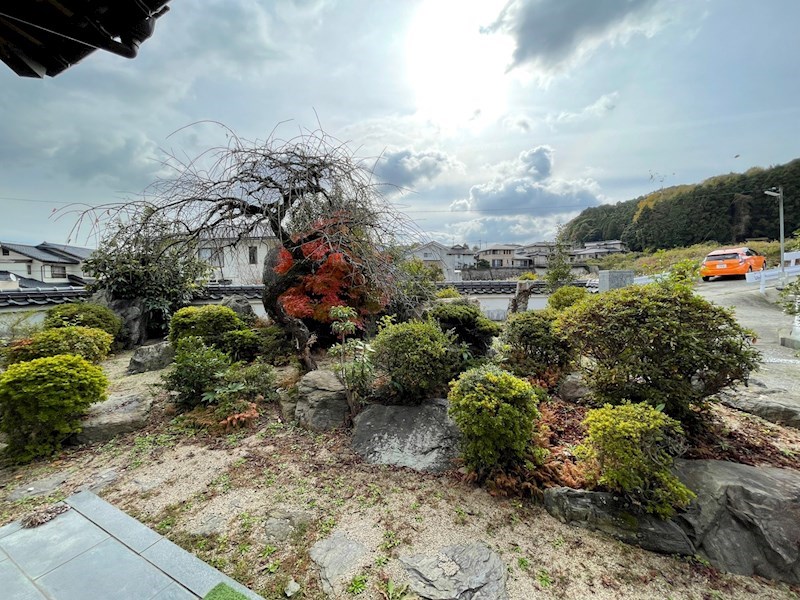 大字新津戸建 現地写真（庭）