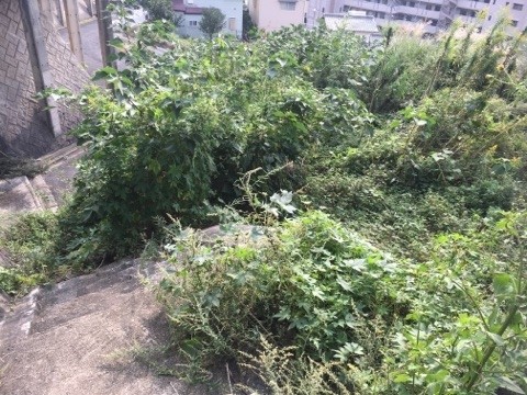 大里東五丁目土地 現地写真