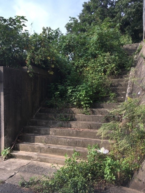 大里東五丁目土地 現地写真