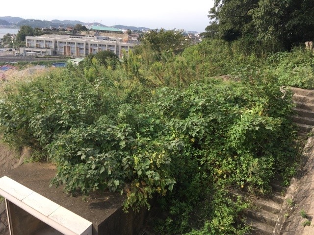 大里東五丁目土地 現地写真