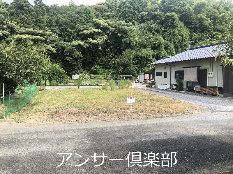 大字頓野土地 現地写真