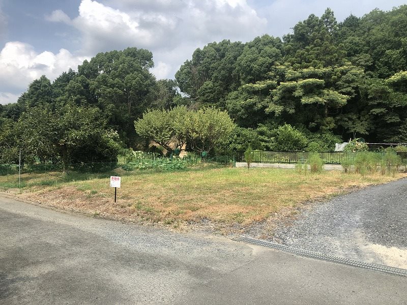 大字頓野土地 現地写真