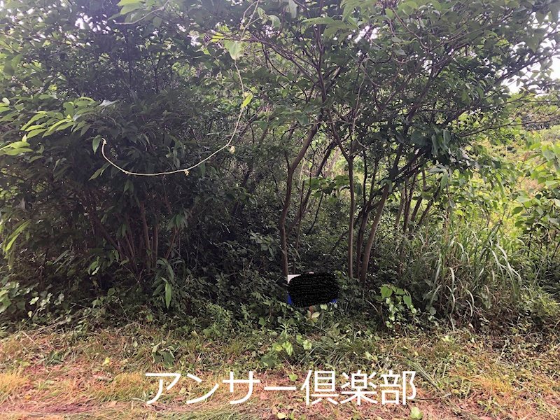 旭台三丁目土地 現地写真