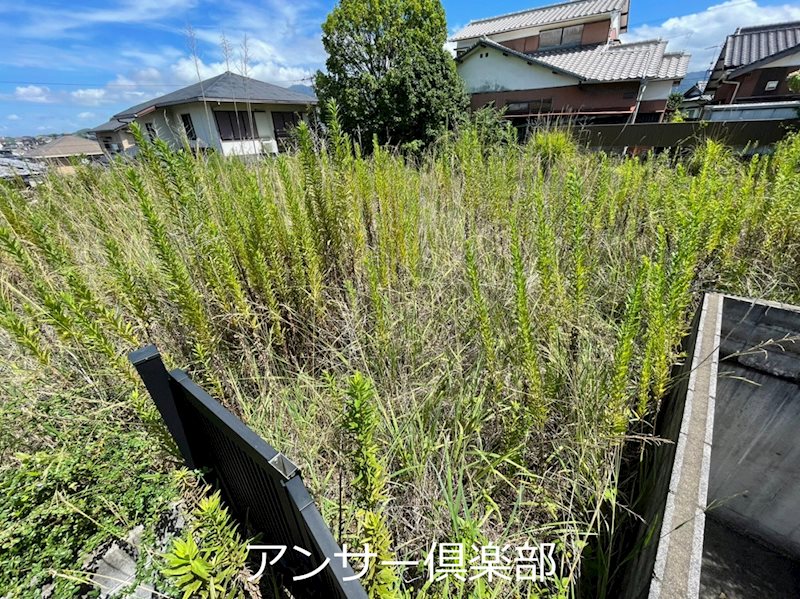 通谷四丁目土地 現地写真