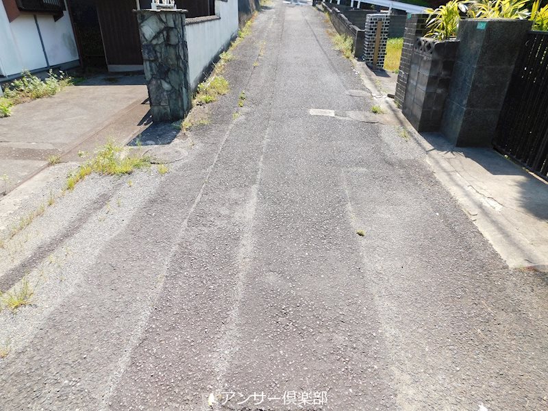 篠崎五丁目戸建 現地写真（前面道路含む現地写真）