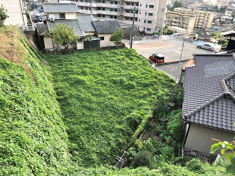 大里東三丁目土地 その他