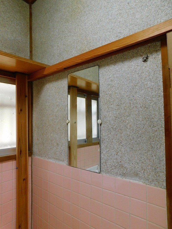 南若園町戸建 内観写真（洗面台・洗面所）