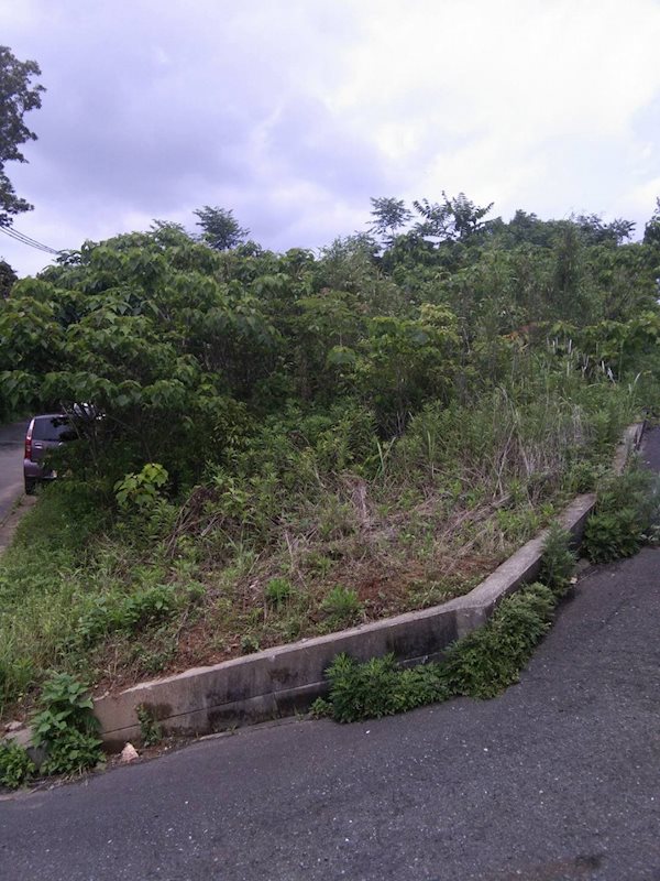 西畑町土地 現地写真