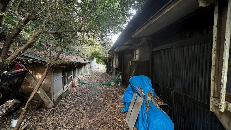 野間三丁目土地 現地写真