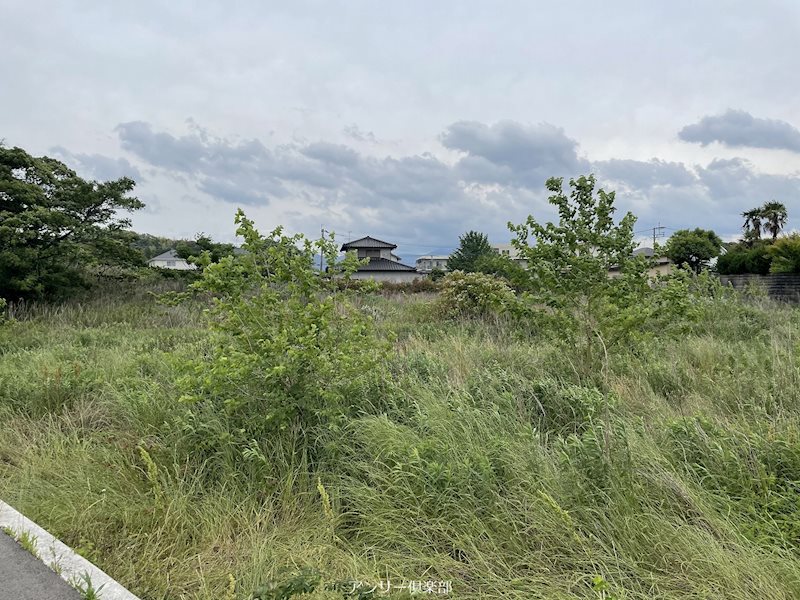 大字上底井野土地 現地写真