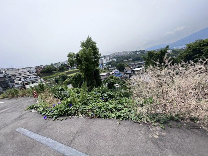 荒手一丁目土地 現地写真