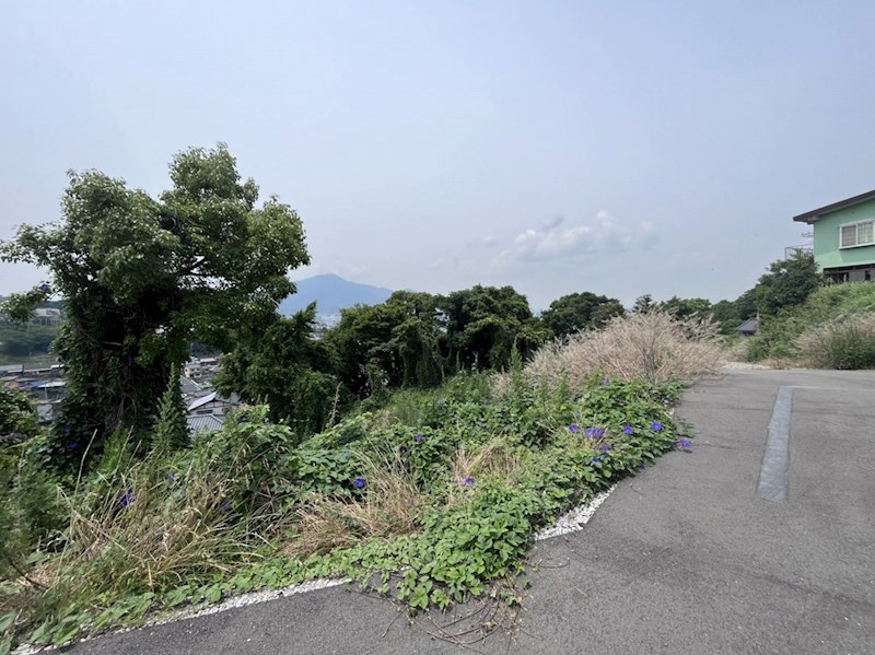 荒手一丁目土地 現地写真