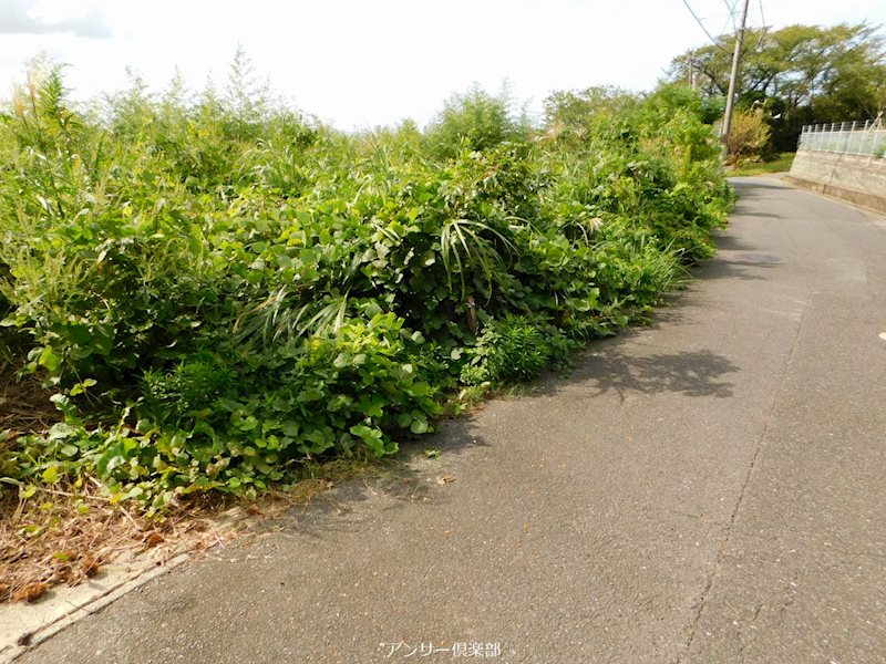 黒原二丁目土地 現地写真（前面道路含む現地写真）