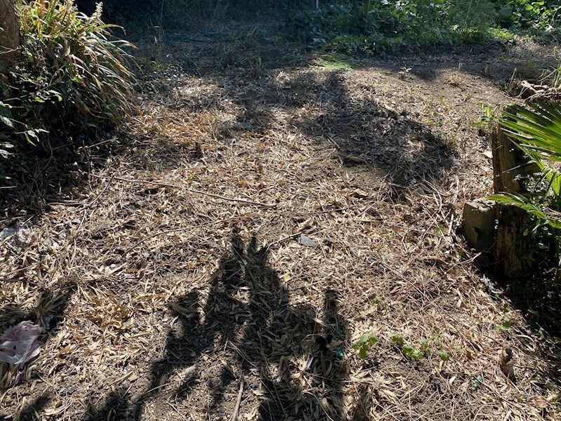 野面一丁目土地 現地写真