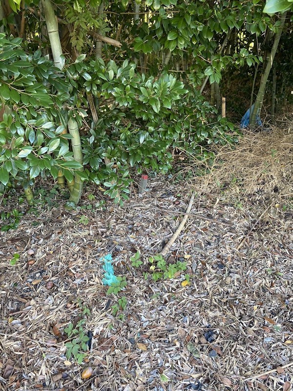 野面一丁目土地 現地写真