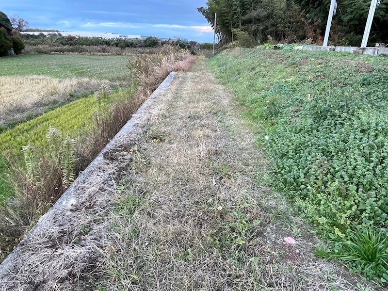 大字稲童土地 現地写真（前面道路含む現地写真）