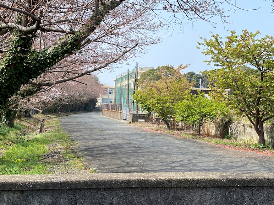岩瀬二丁目戸建 中学校