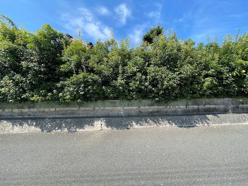 旧停一丁目土地 現地写真