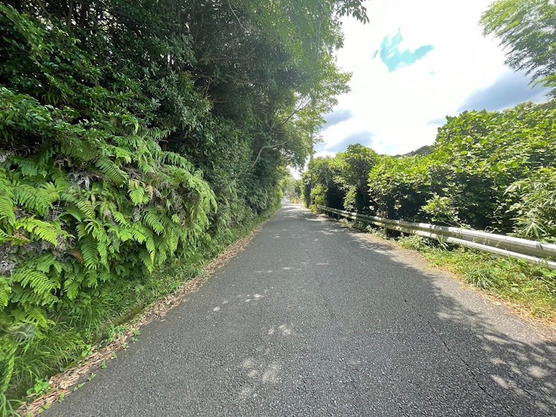 畑谷町19番土地 現地写真（前面道路含む現地写真）