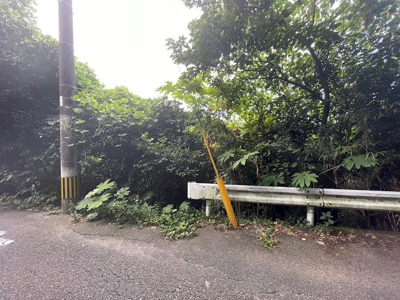 畑谷町19番土地 現地写真（前面道路含む現地写真）