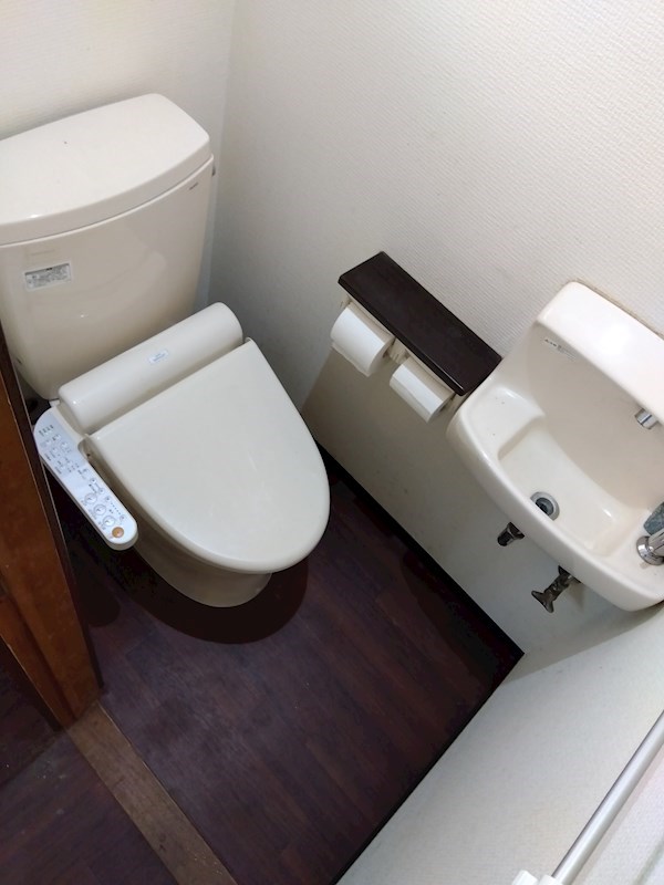 大宮町14番戸建  内観写真（トイレ）