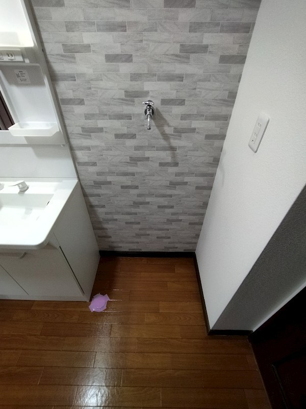 高須北一丁目戸建 内観写真（洗面台・洗面所）