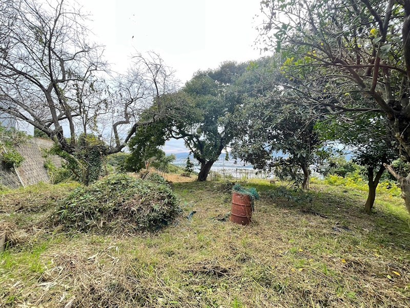 今光三丁目土地 現地写真