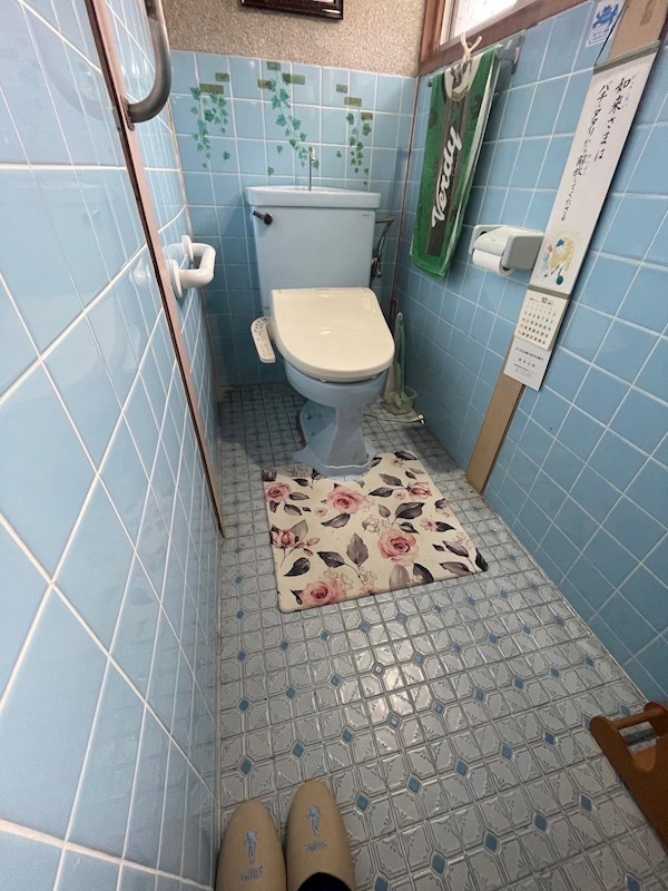 高江三丁目戸建 内観写真（トイレ）