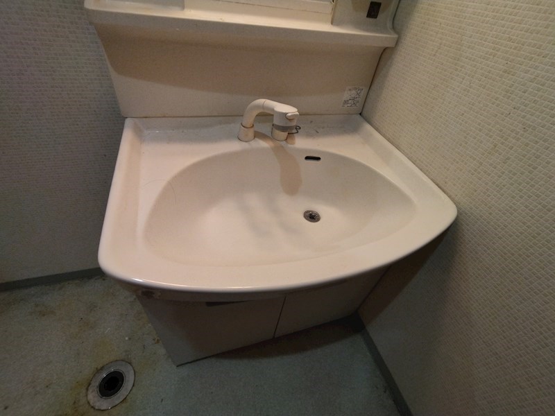 ホワイトキャッスル今池電停前 内観写真（洗面台・洗面所）