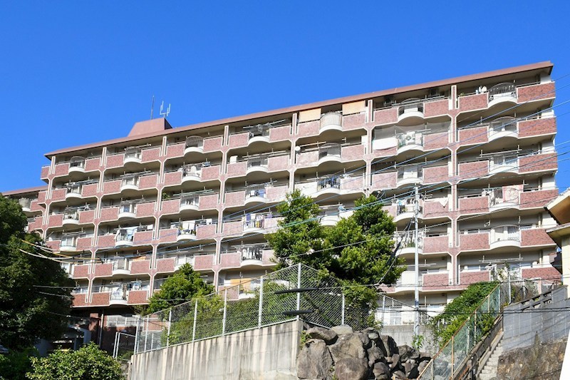 オークランド第二到津 現地写真