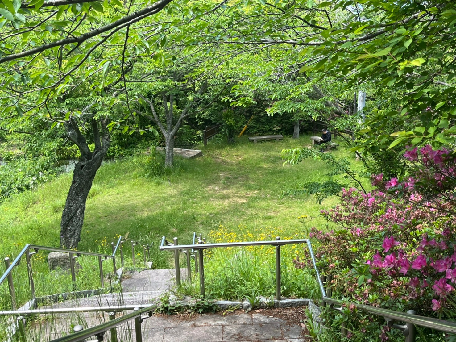 高砂町戸建 公園