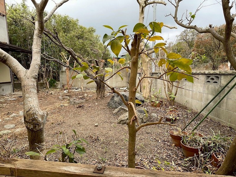 中間二丁目8番戸建 現地写真（庭）