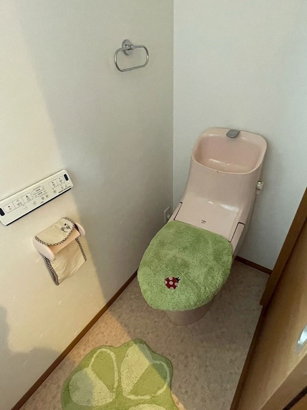 土手ノ内三丁目戸建 内観写真（トイレ）