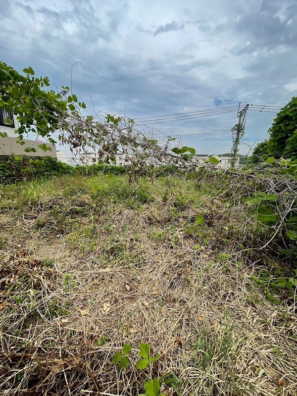 修多羅二丁目27番土地 現地写真