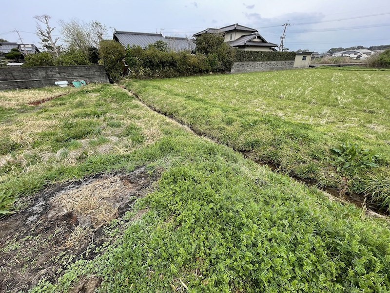 大字長木64番土地 現地写真